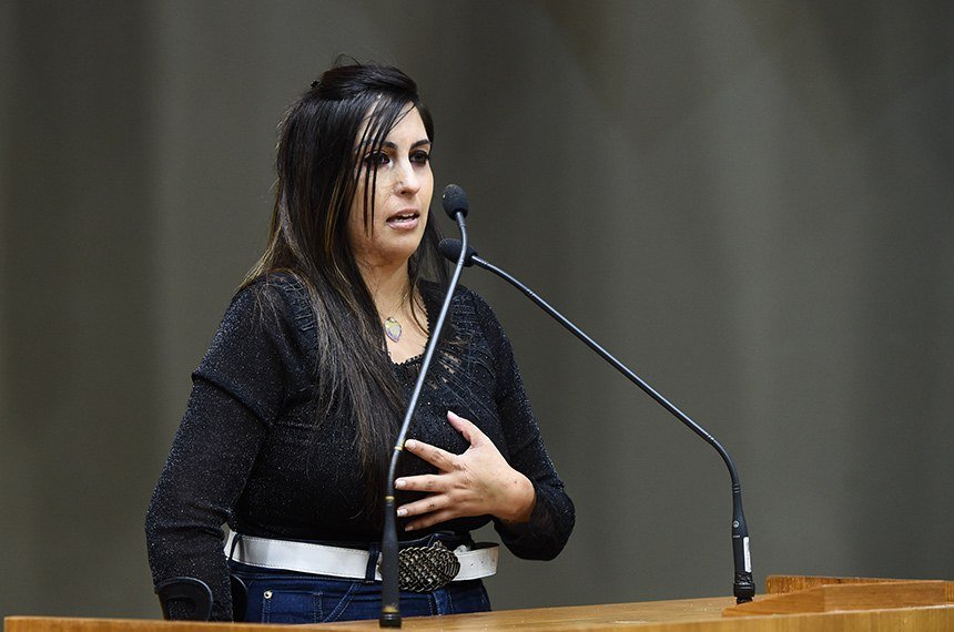 Lei Bárbara Penna: Câmara aprova endurecimento de penas para agressores que ameaçam mulheres mesmo sob custódia
