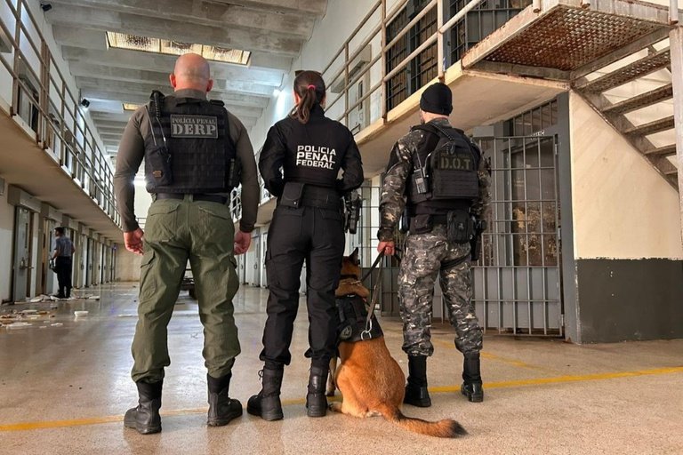 Brasil contra o Crime Organizado apreende celulares em presídios de 15 estados